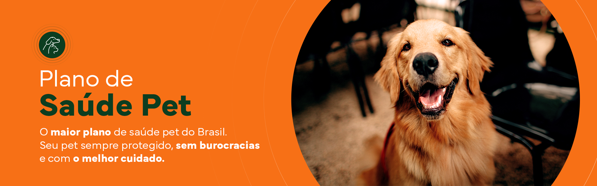 Seguro-pet-Desktop